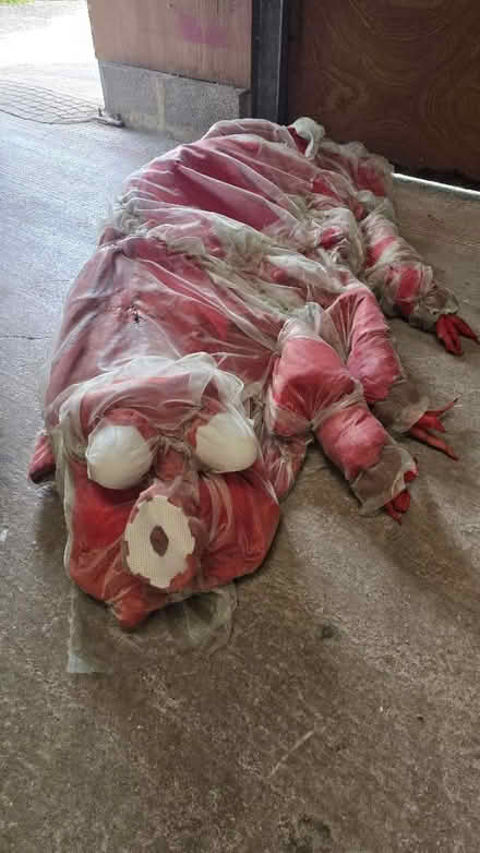 Photo of free 6ft Tardigrade (Warehouse BS40) #1