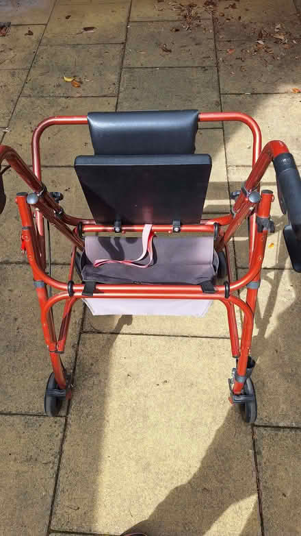 Photo of free Walker (Ness CH64) #2
