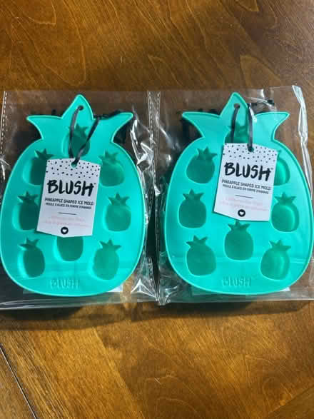 Photo of free Pineapple ice molds (Burlington) #1