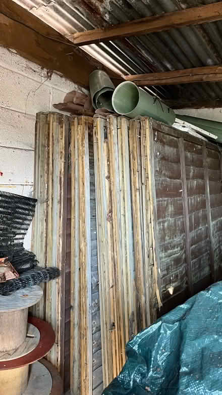 Photo of free Used fence panels (Devizes SN10) #2