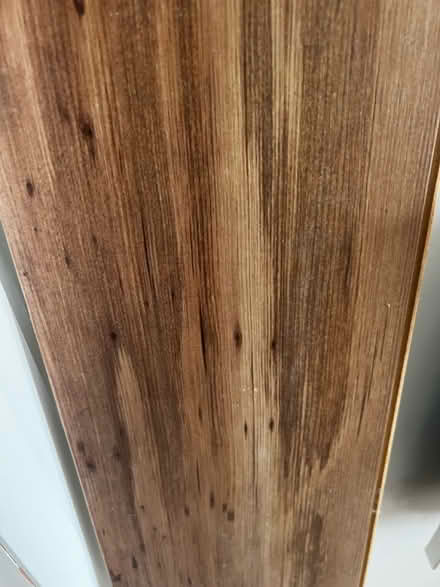 Photo of free Laminate flooring (Polwarth, Edinburgh EH11) #1