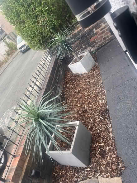 Photo of free Plant pots (Widnes) #2