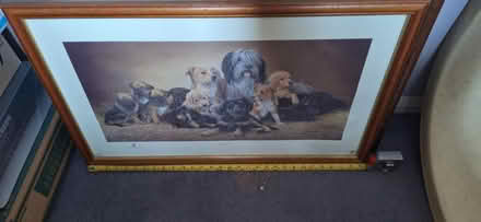 Photo of free Large framed signed print (South Green CM11) #2
