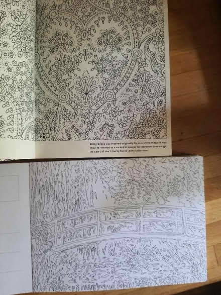 Photo of free 2 adults colouring books (Box GL6) #2