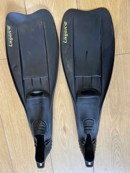 Photo of free Pair of Adult fins/ flippers (St Just TR19) #2