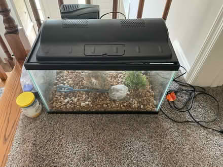 Photo of free Aquarium Stuff (Vienna) #1