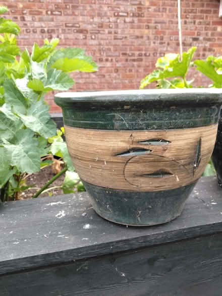 Photo of free Selection of garden pots (Mold CH7) #3