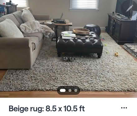 Photo of free 8.5x10.5 plush area rug (Woburn cinemas rte 38) #1