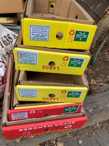Photo of free Cardboard boxes (Chineham RG24) #1