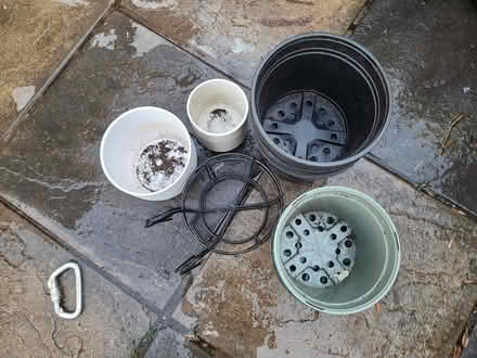 Photo of free Plant pots (Eltham SE9) #1