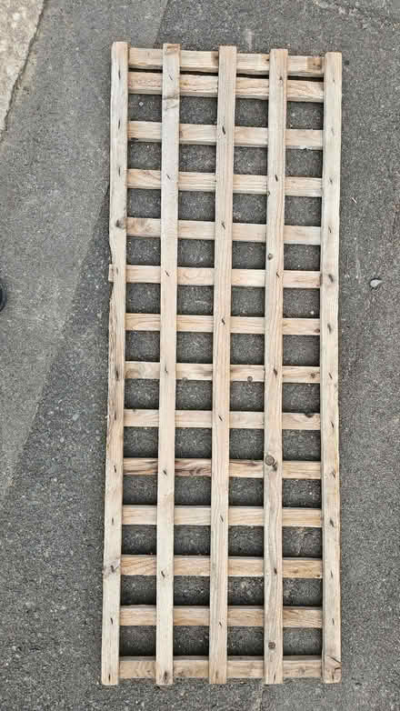 Photo of free Small garden trellis (Moorfields BA2) #1