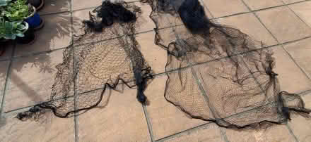 Photo of free Garden netting for Veg /Pond etc (Ipswich IP3) #2