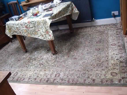 Photo of free large green rug (Neston CH64) #1