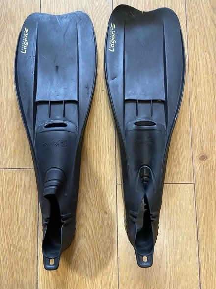 Photo of free Pair of Adult fins/ flippers (St Just TR19) #1