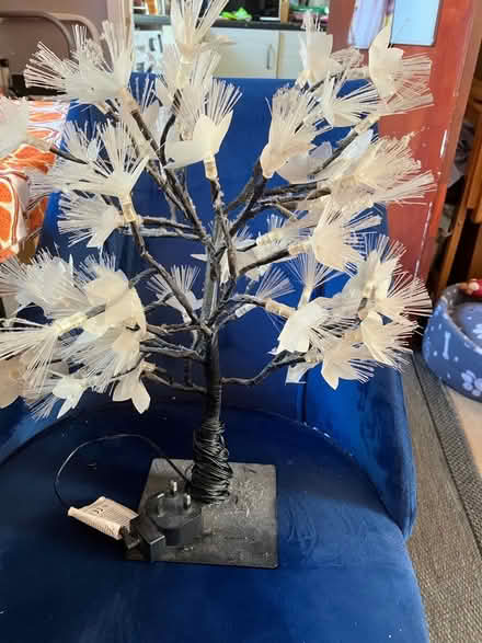 Photo of free Lights tree (Bramley LS13) #1