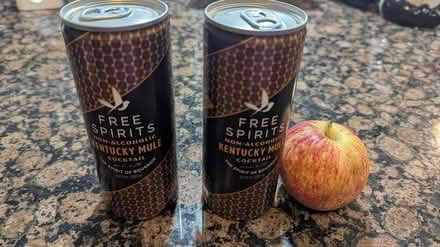 Photo of free 2 Nonalcoholic Ginger Mule beverage (North Cambridge) #1