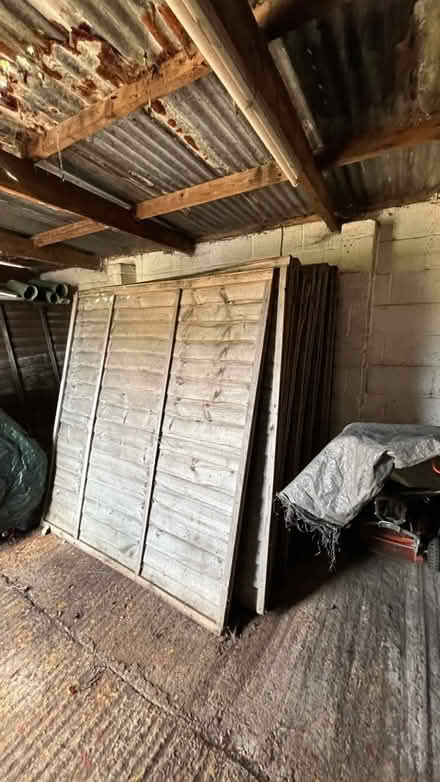 Photo of free Used fence panels (Devizes SN10) #1