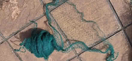 Photo of free Green garden netting various sizes (Ipswich IP3) #4