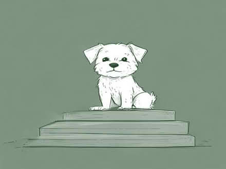 Photo of free Small dog or cat indoor steps (Brookman's Park AL9) #1