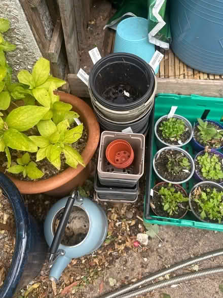 Photo of free plastic plant pots & old kettle (Heysham LA3) #1
