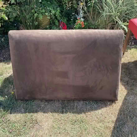 Photo of free Brown velour single headboard (Polegate BN26) #1