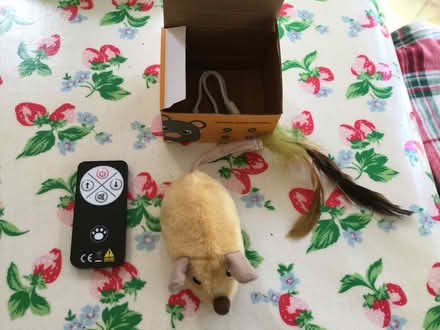 Photo of free Cat toys (Amersham Common HP7) #1