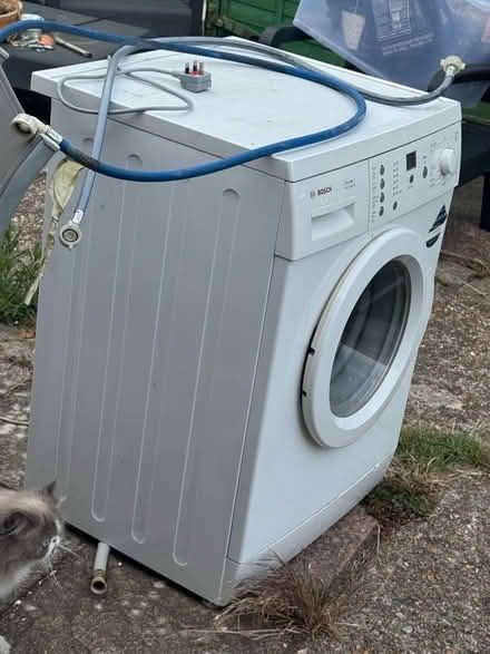 Photo of free Washing machine F21 error (Langney BN23) #2