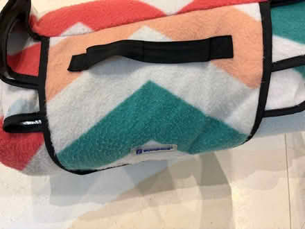 Photo of free Picnic blanket 150x200 (Chelsea SW3) #2