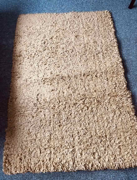 Photo of free Ochre Rug (B11UE) #1