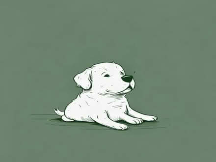 Photo of free dogs milk (Chippenham SN15) #1