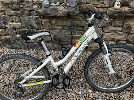 Photo of free Girls bike (Tebay CA10) #1