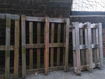 Photo of free Pallets (Firth Park S5) #1