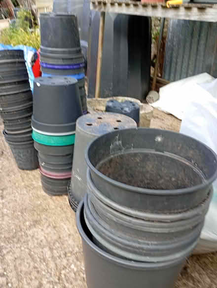Photo of free Asst Lg Plant Pots (Worcester WR5) #1