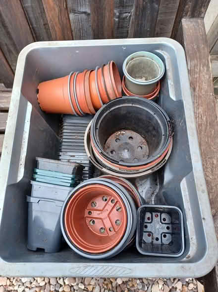 Photo of free Plant pots (Belper Town centre) #1