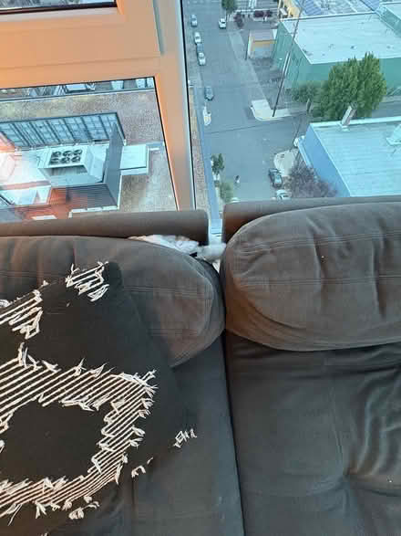 Photo of free Sofa (Inner SE Portland) #2