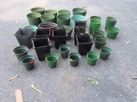 Photo of free FLOWER POTS for starting seeds, etc (Irondequoit near zoo.) #2