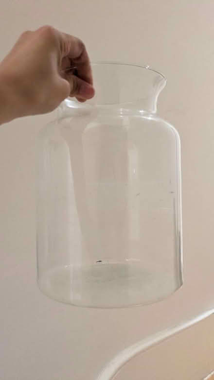 Photo of free large glass vase (Archway, N19) #2