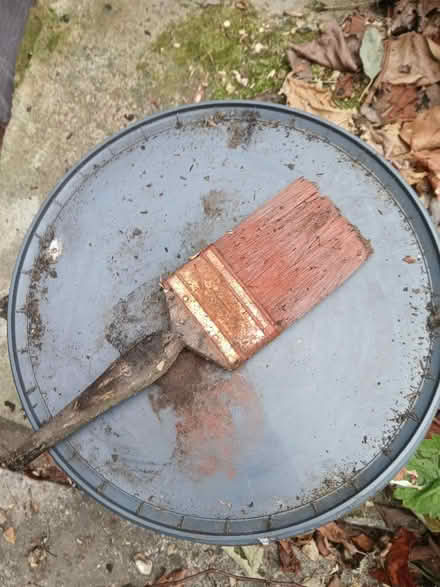 Photo of free Shed/Fence paint (Mexborough S64) #2