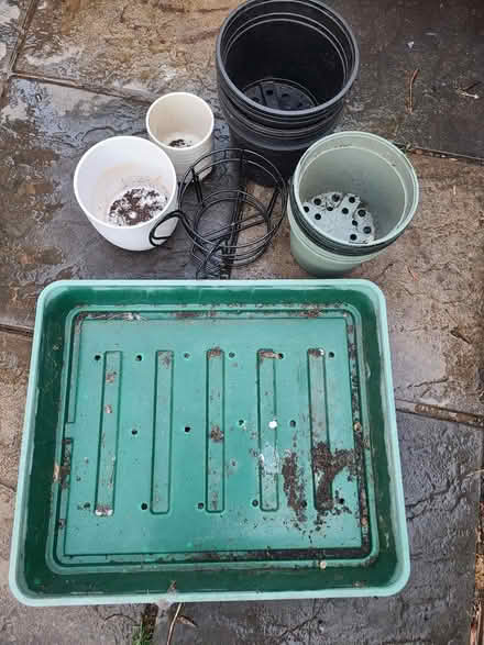 Photo of free Plant pots (Eltham SE9) #2