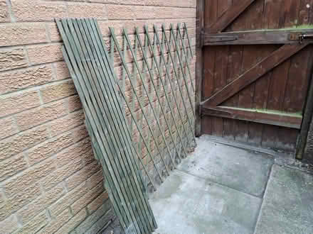 Photo of free Two garden trellises. (Clayton Brook PR5) #1