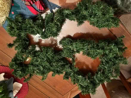 Photo of free Misc Christmas decor and items (Willow Glen) #4