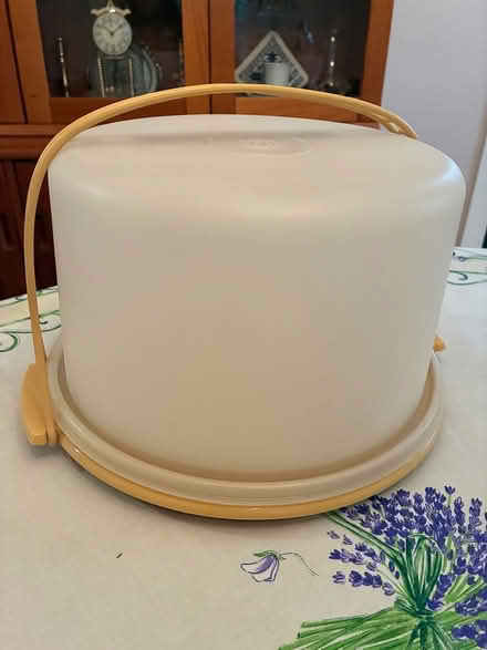 Photo of free Plastic cake carrier (Haddon Heights, NJ) #2