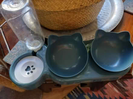 Photo of free Double cat feeder bowls with water bottle (New Town CO1) #1