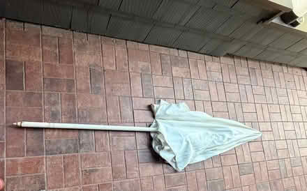 Photo of free Umbrella (Piedmont) #1