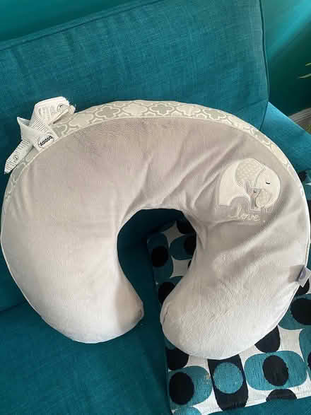 Photo of free Boppy nursing pillow (Harringay N8) #1