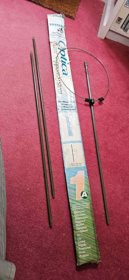 Photo of free Plant supports x 3 (Stanford in the Vale SN7) #1