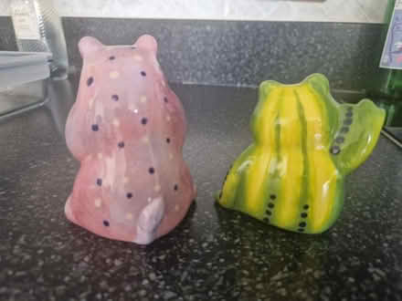 Photo of free Hand painted hippo and frog (SE10) #2