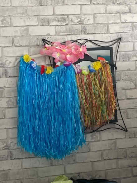 Photo of free 2 dressing up skirts (TW14 bedfont) #1