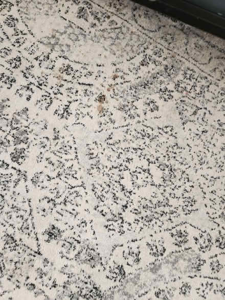Photo of free Grey Rug 230/ 150 (PR9 0EA) #4