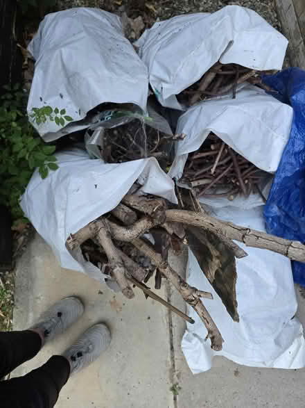 Photo of free 6 bags of twigs & small logs (Shrewsbury SY1) #1